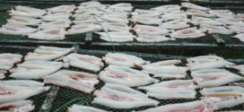 Delicious dried fish specialties a languid sun – Ben Tre