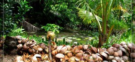 Về Bến Tre du lịch miệt vườn