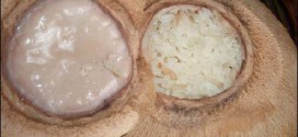 Steamed rice with coconut milk specialties Ben Tre