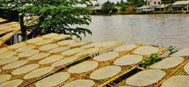 Về xứ dừa – Đến làng nghề khám phá các đặc sản nổi tiếng